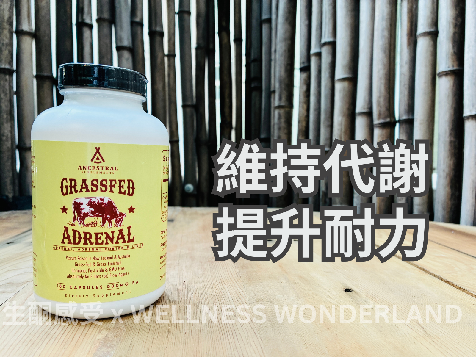 美國 Ancestral Supplements : Grass Fed Beef Adrenal 草飼牛腎上腺