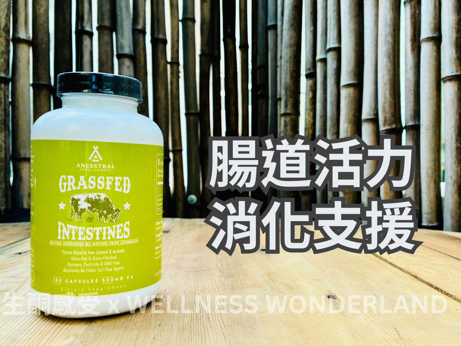 American Ancestral Supplements<br> Grass-fed Beef Intestine