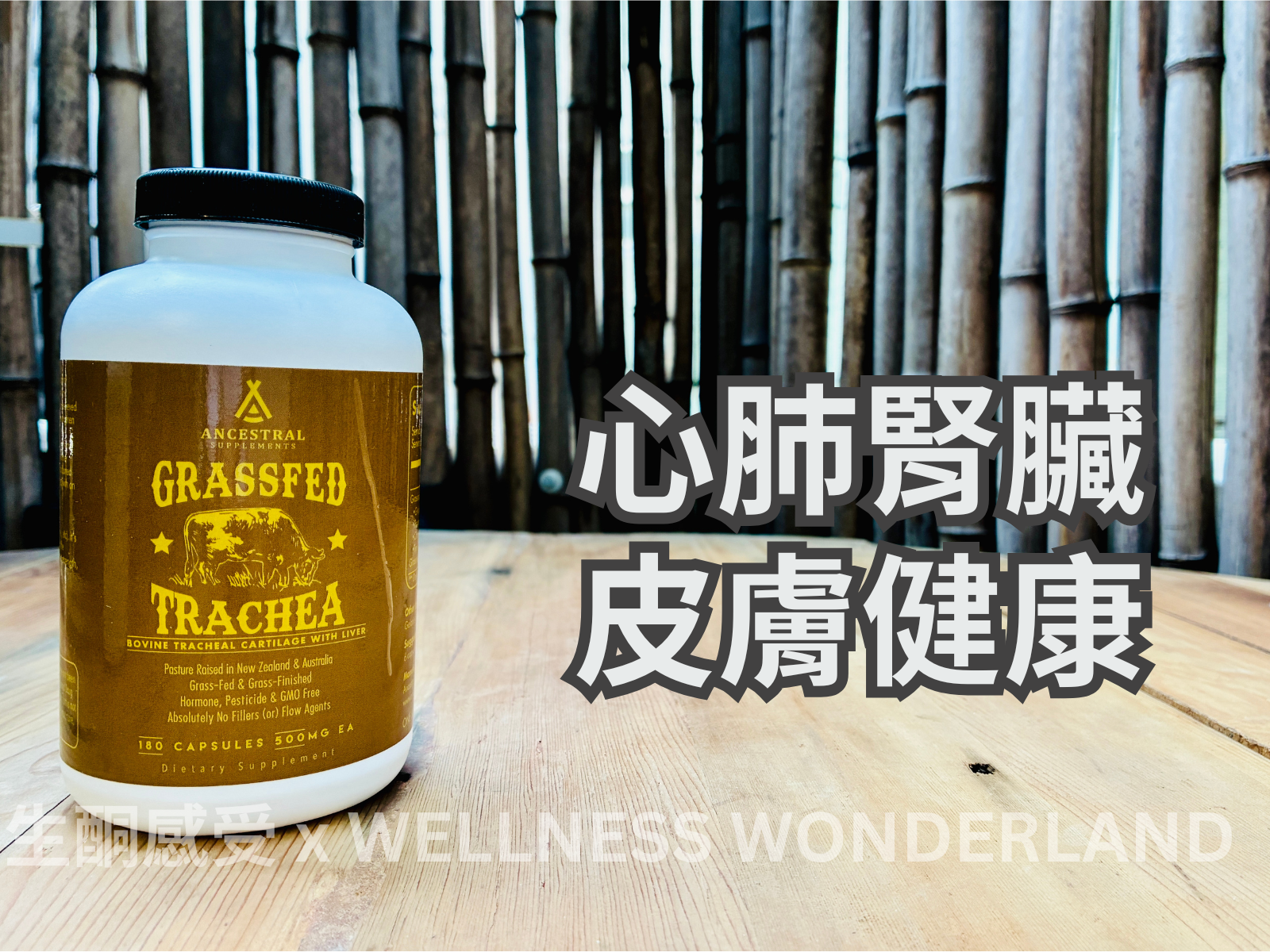 American Ancestral Supplements<br> Grass-Fed Trachea Tracheal Cartilage