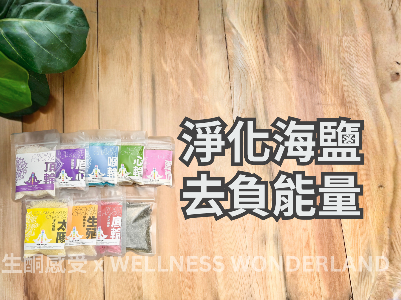 Chakra Bath Salt 淨化海鹽