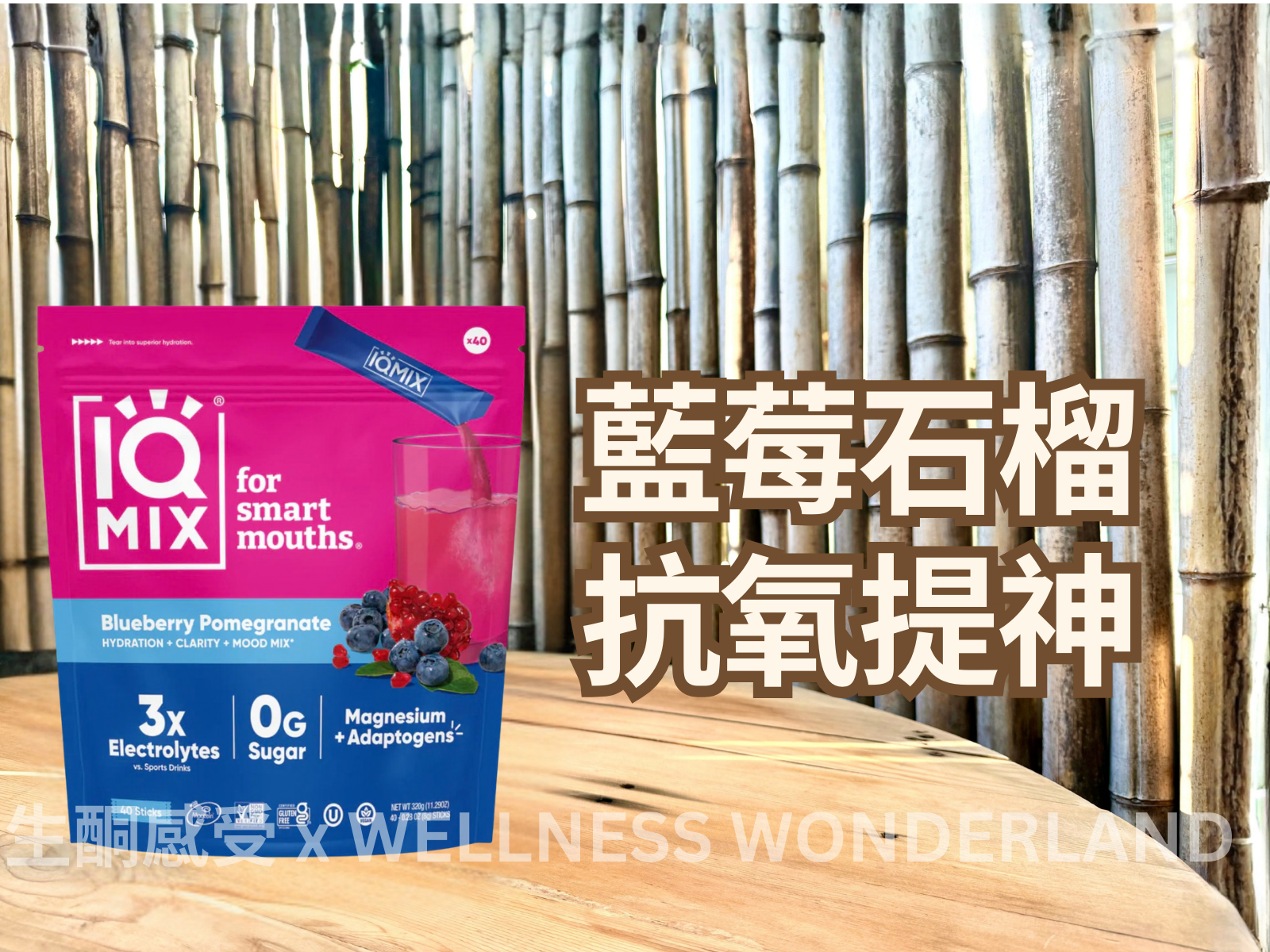 IQ MIX (USA)<br> Blueberry Pomegranate Flavored Electrolyte Powder