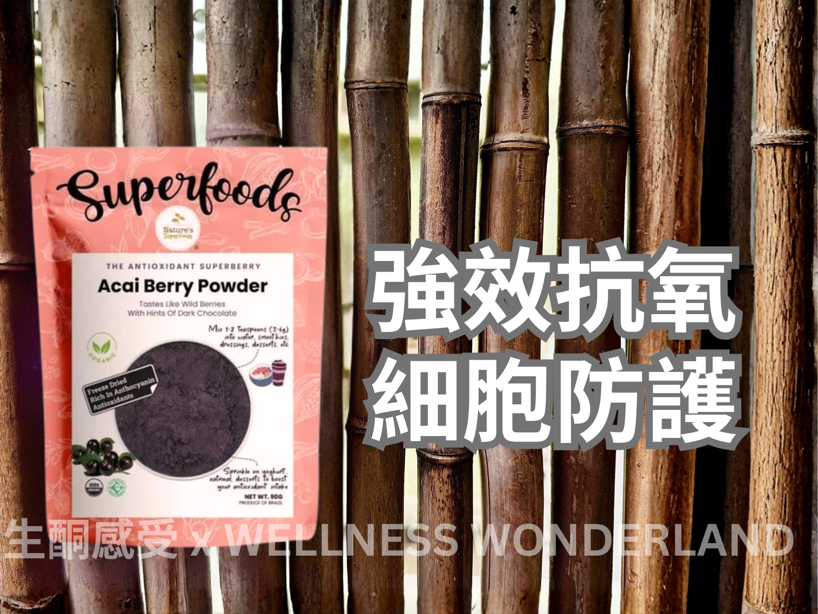 Singapore Nature's Superfood<br> Acai Berry Powder