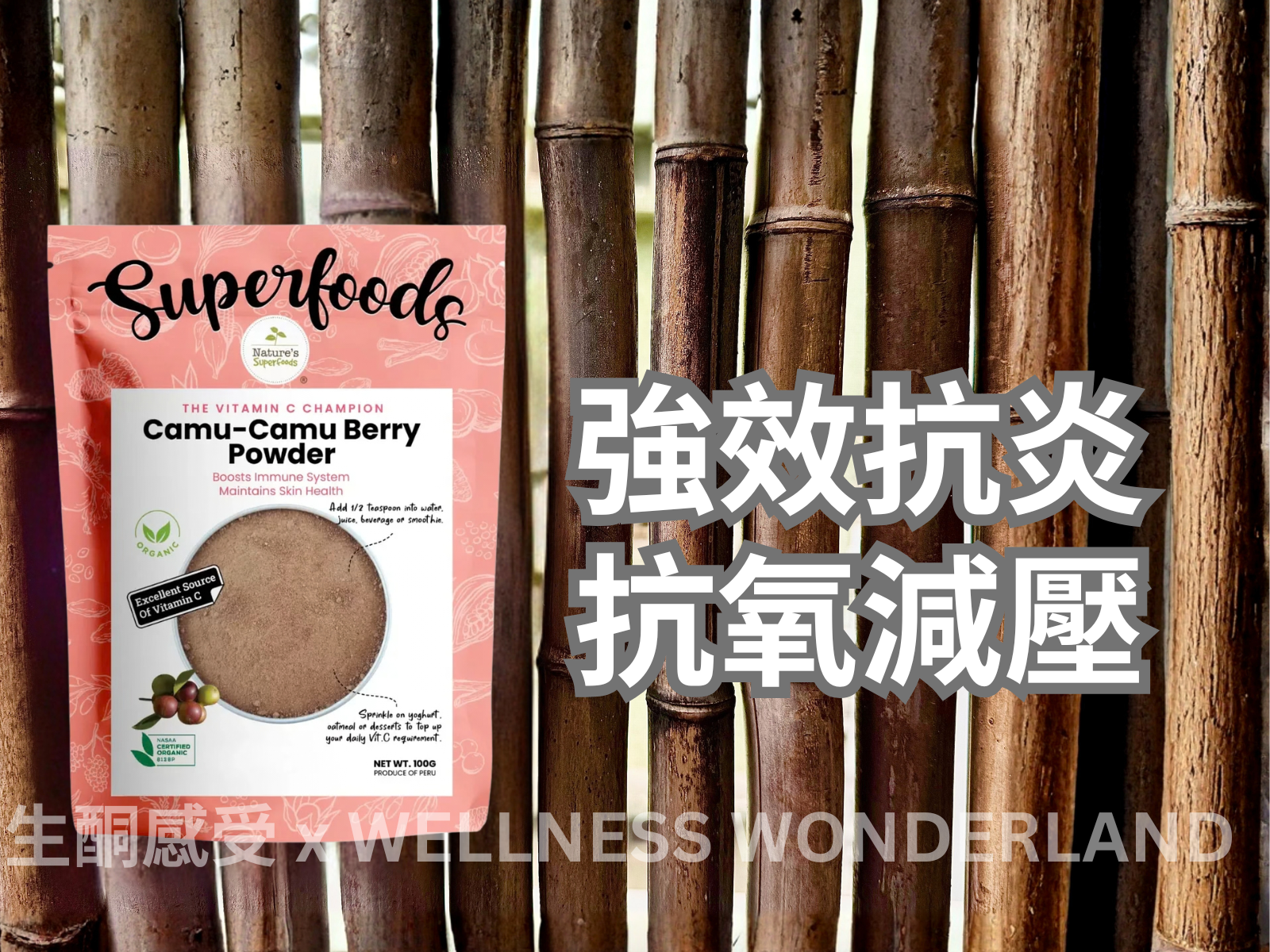 Singapore Nature's Superfood<br> Camu-Camu Berry Powder 