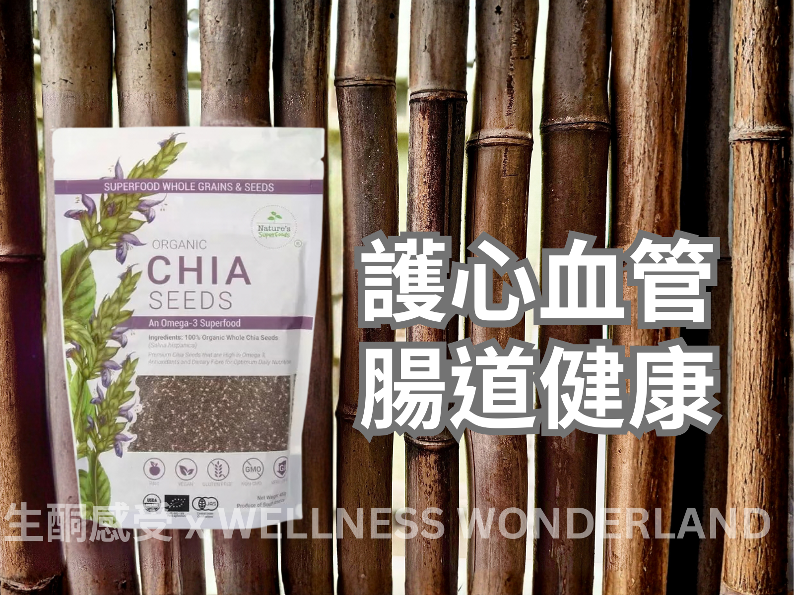 Singapore Nature's Superfood<br> Organic Chia Seeds 1kg 