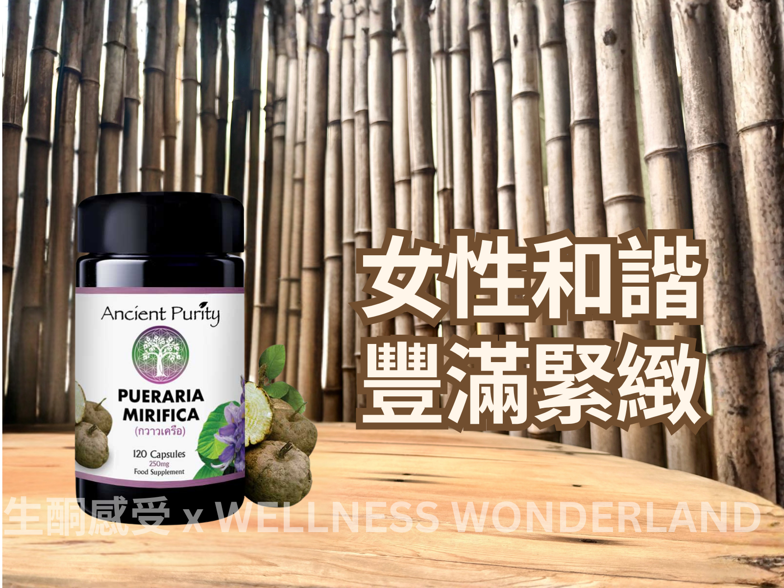英國 Ancient Purity<BR> Pueraria Mirifica 野葛根