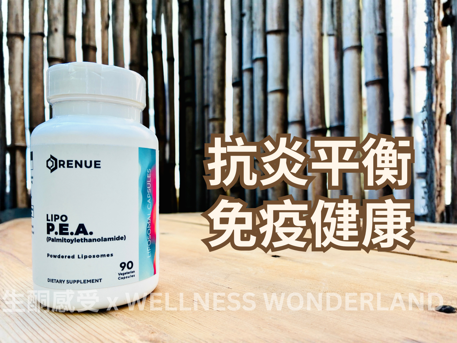 American Renue by Science<br> Lipo PEA Palmitolamine 