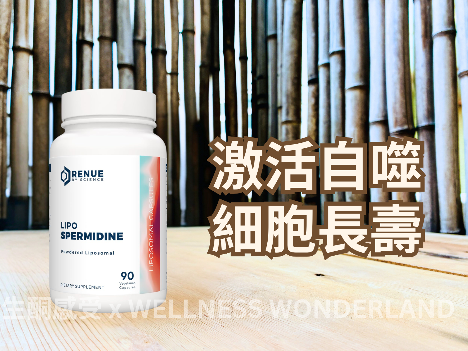 美國 Renue by Science<BR>Lipo Spermidine脂質體精胺