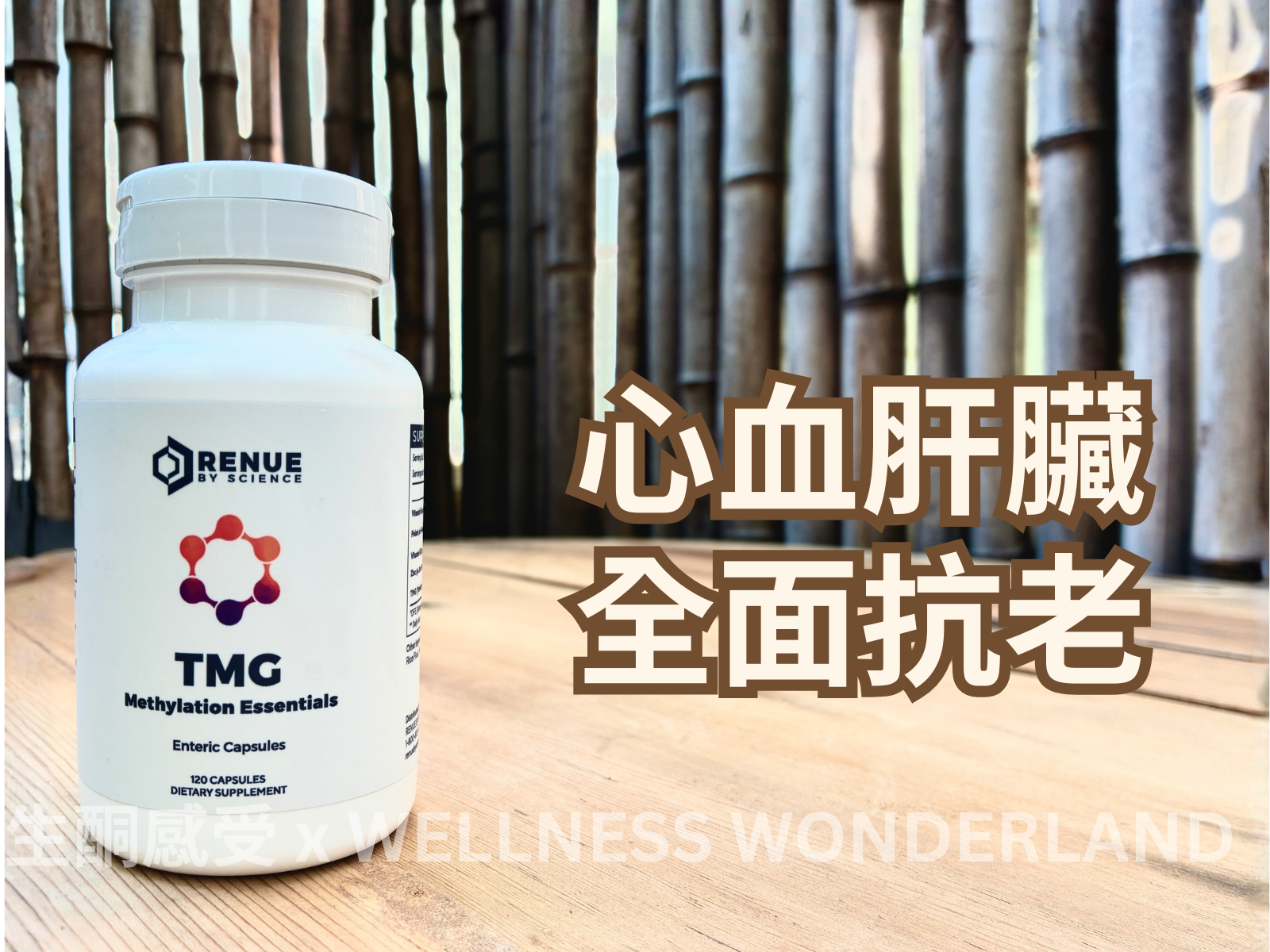 American Renue by Science<br> TMG Methylation Key Points 