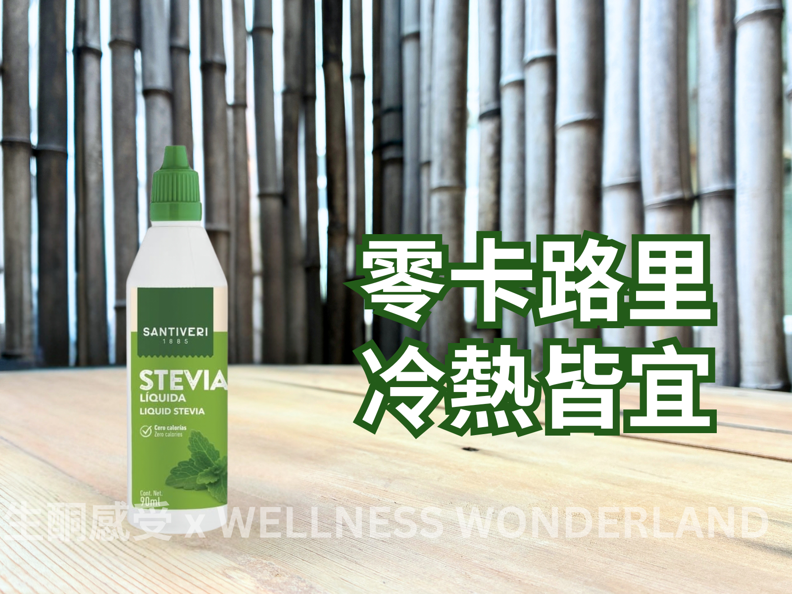 Santiveri, Spain<br> Stevia Liquid Stevia
