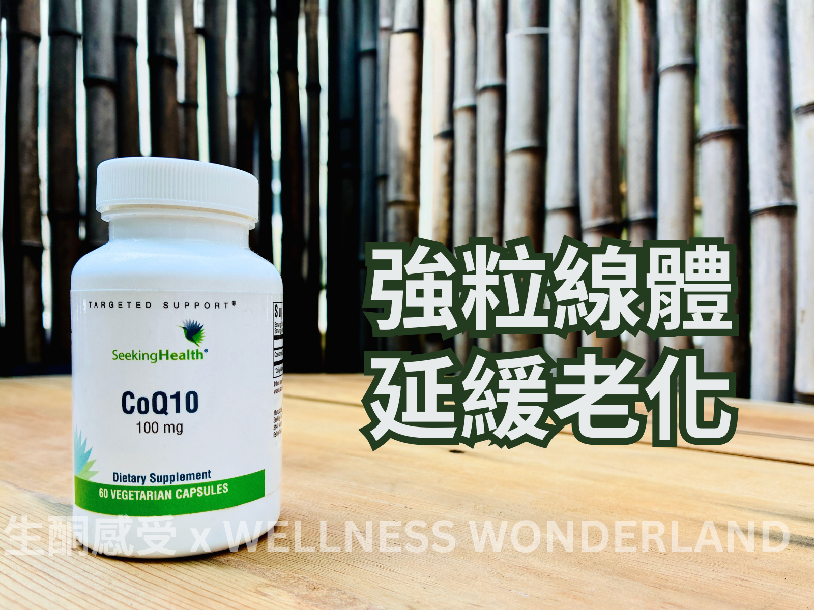 Seeking Health, USA<br> CoQ10 