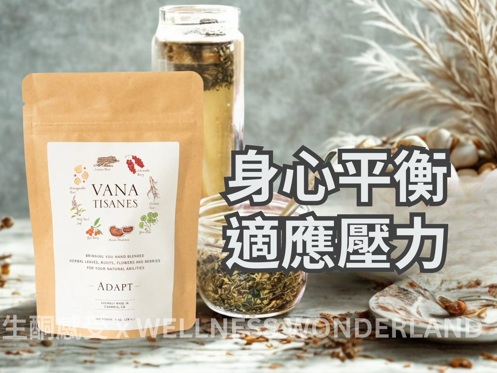 Vana Tisanes, USA<br> Herbal Tea (Adapt) - Stress Management 