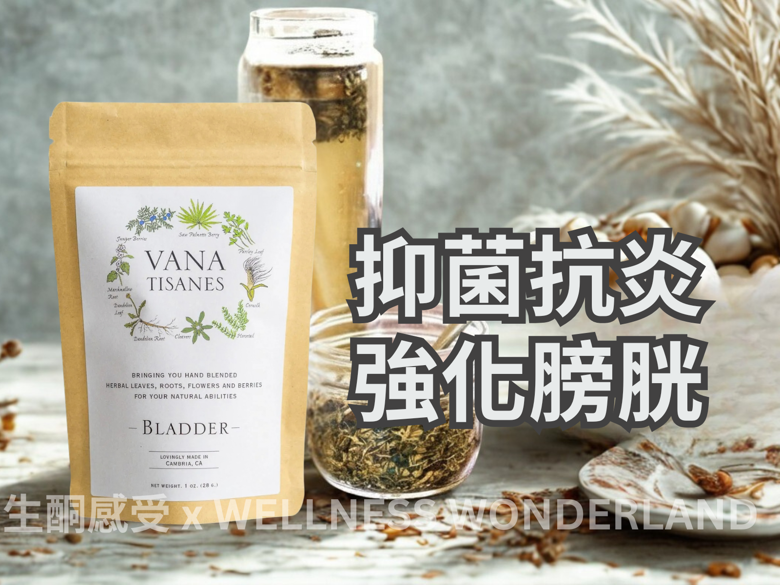 Vana Tisanes, USA<br> Herbal Tea (Bldder) for Bladder Care 