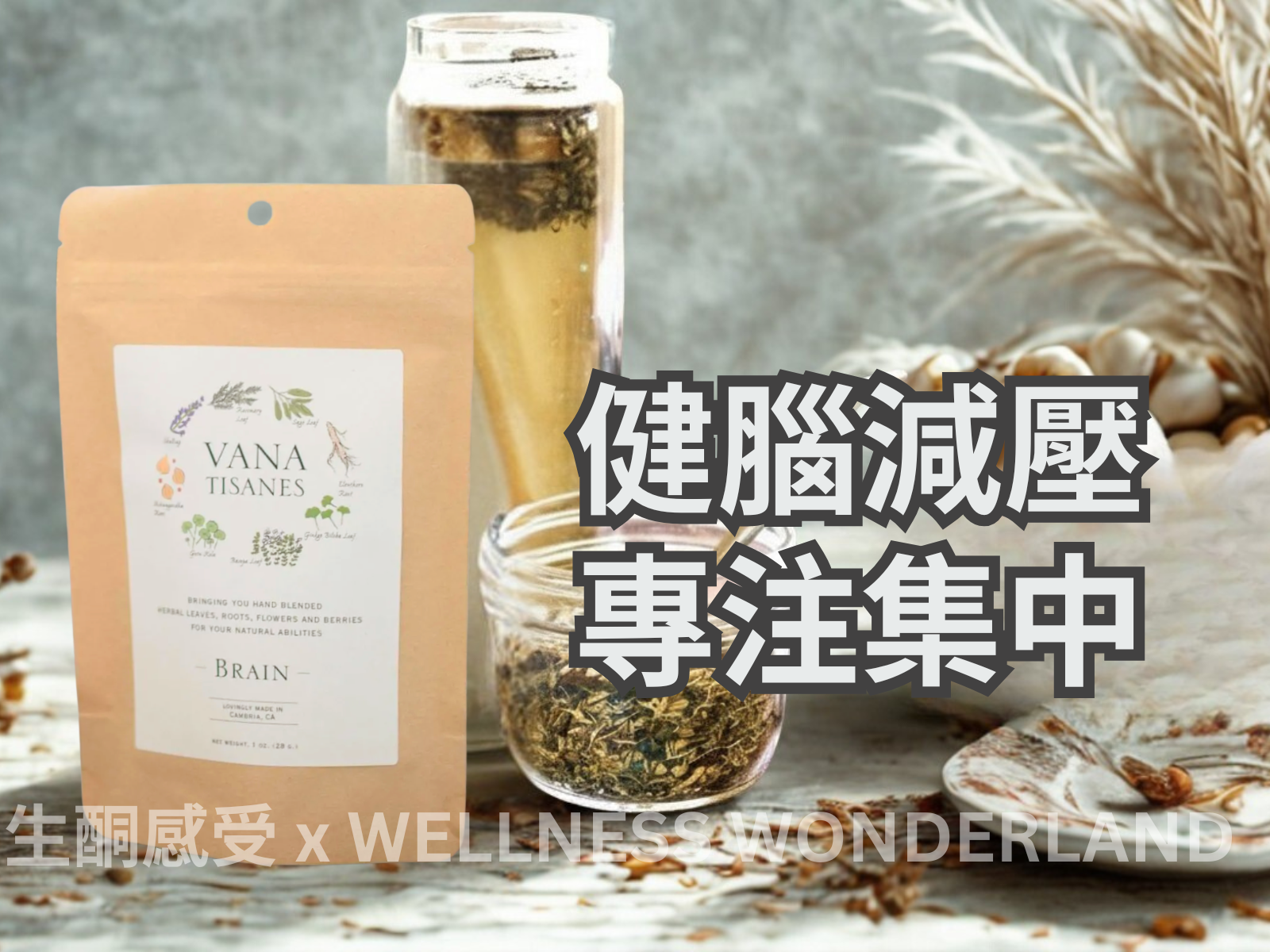 Vana Tisanes, USA<br> Herbal Tea (Brain) - Protects the brain and prevents degeneration 