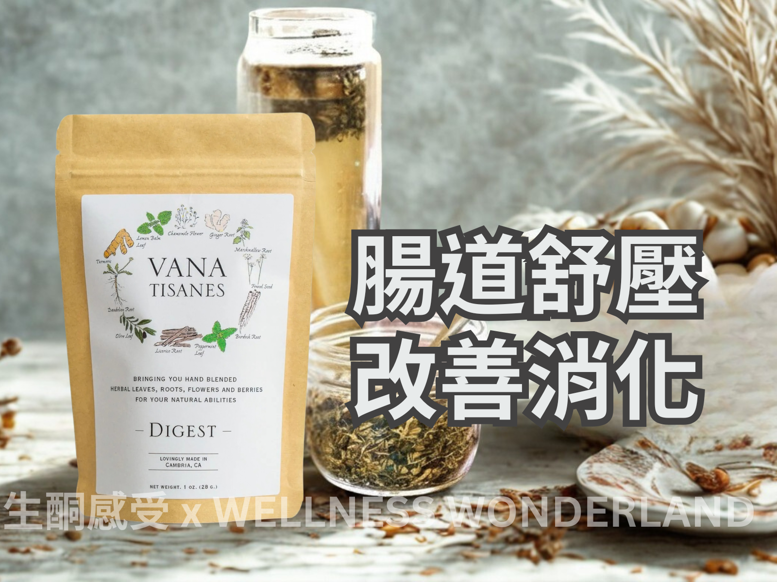 Vana Tisanes, USA<br> Herbal Tea (Digestive) 