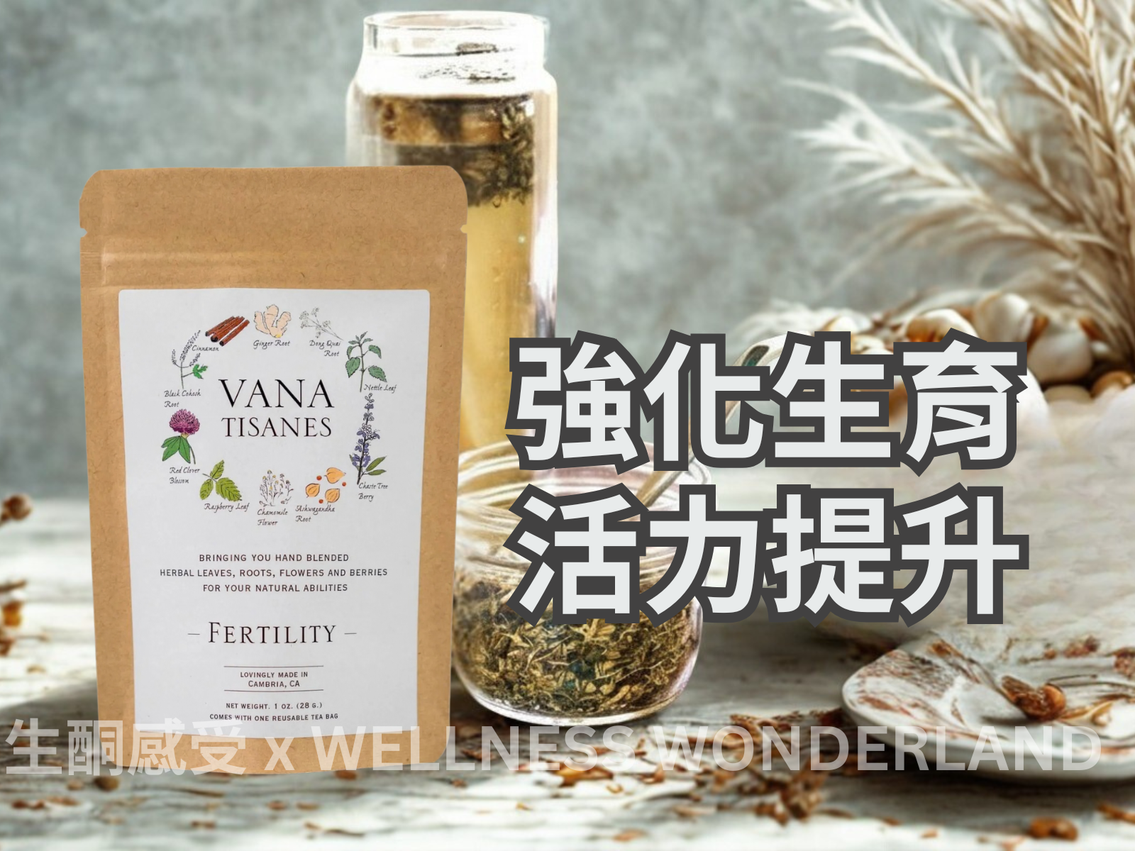 美國 Vana Tisanes<BR>Herbal Tea 28g ( Fertility ) 草本茶 強化生育