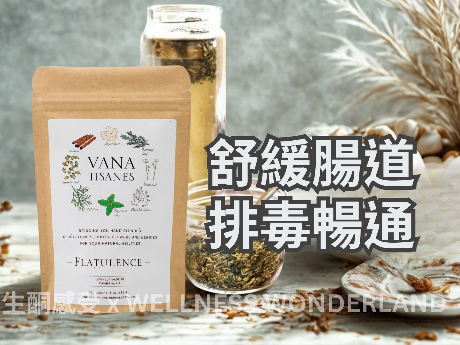 美國 Vana Tisanes<BR>Herbal Tea 28g ( Flatulence ) 草本茶 排毒暢通