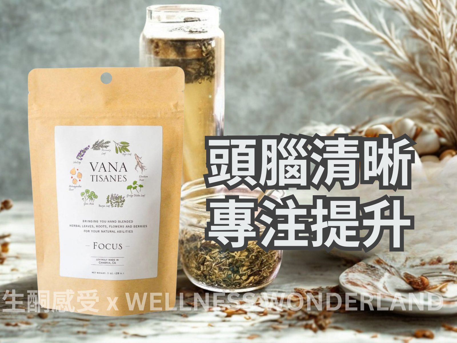 Vana Tisanes, USA<br> Herbal Tea (Focus) improves memory. 