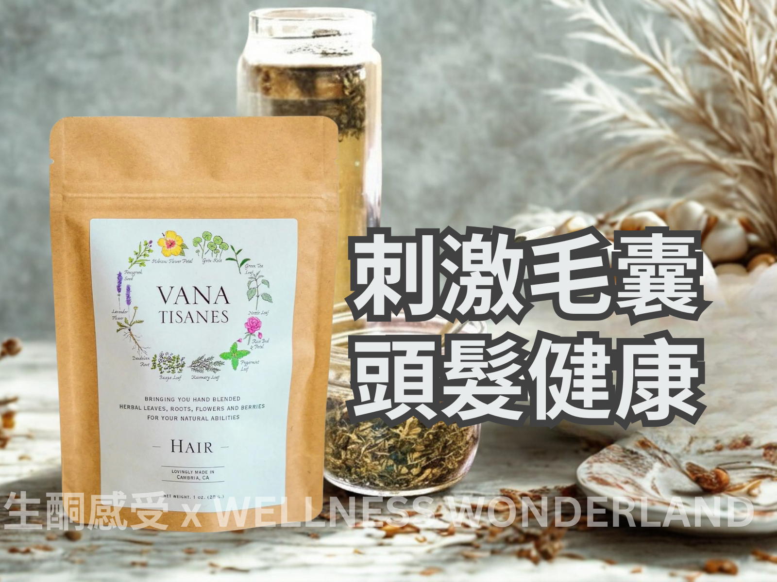 美國 Vana Tisanes<BR>Herbal Tea 28g ( Hair ) 草本茶 增加髮量