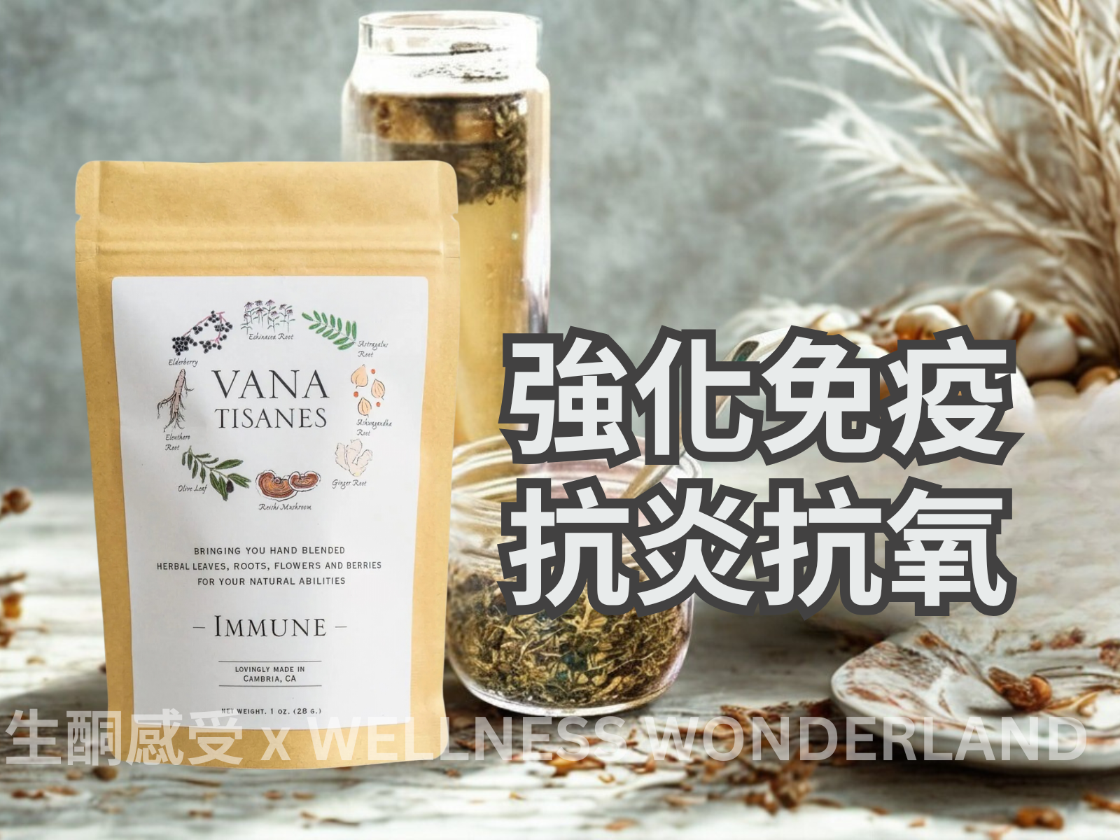 USA Vana Tisanes<BR>Herbal Tea 28g (Immune) Immune Protection