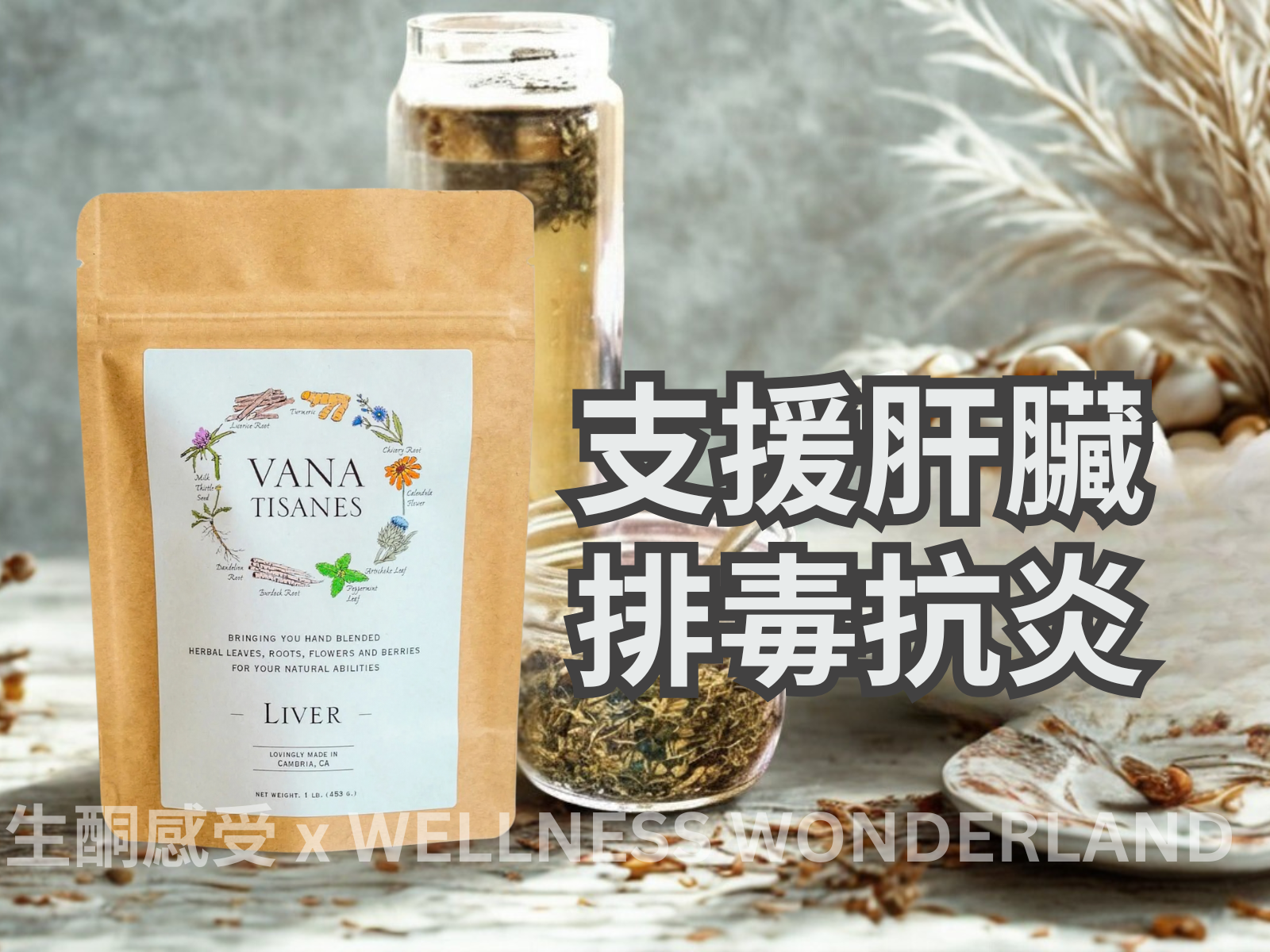 USA Vana Tisanes<BR>Herbal Tea 28g (Liver) Liver Protection Blend