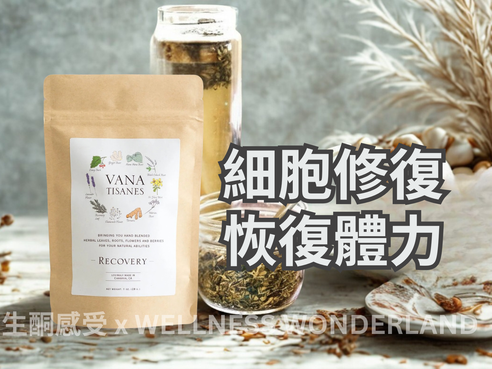 US Vana Tisanes<BR>Herbal Tea 28g (Recovery)