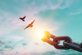 四域健康編碼 The Healing Code